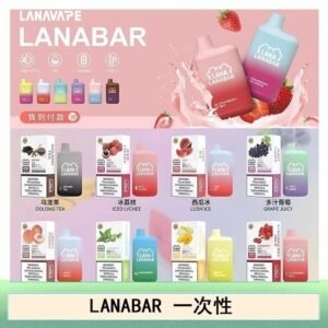 LANA BAR可充电一次性電子煙霧化5000口(3.0%)